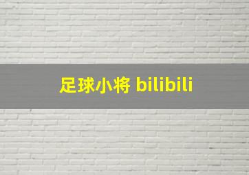 足球小将 bilibili